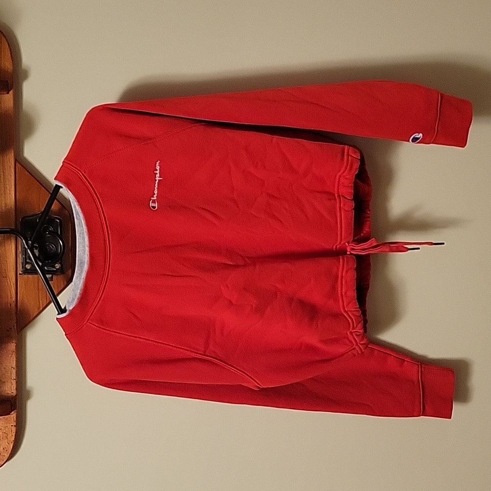 Champion crop sweatshirt